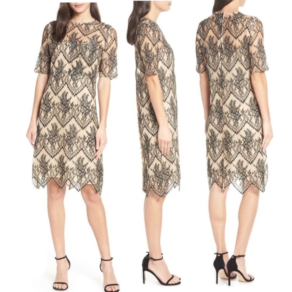 CAARA Nordstrom Scallopd Lace Shift Dress Black Beige Holiday Party Wedding Sz M - Picture 14 of 14